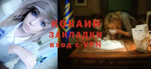 шишки Бронницы