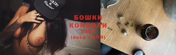 дживик Верхний Тагил