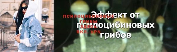 шишки Бронницы