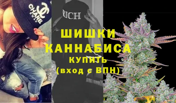 шишки Бронницы