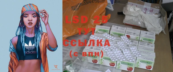 шишки Бронницы